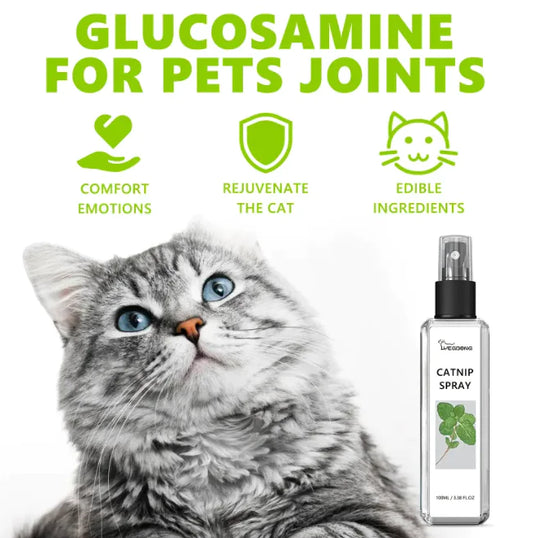 Transform Your Pet's Health with Vital Pet Wellness Spray! 🐾✨