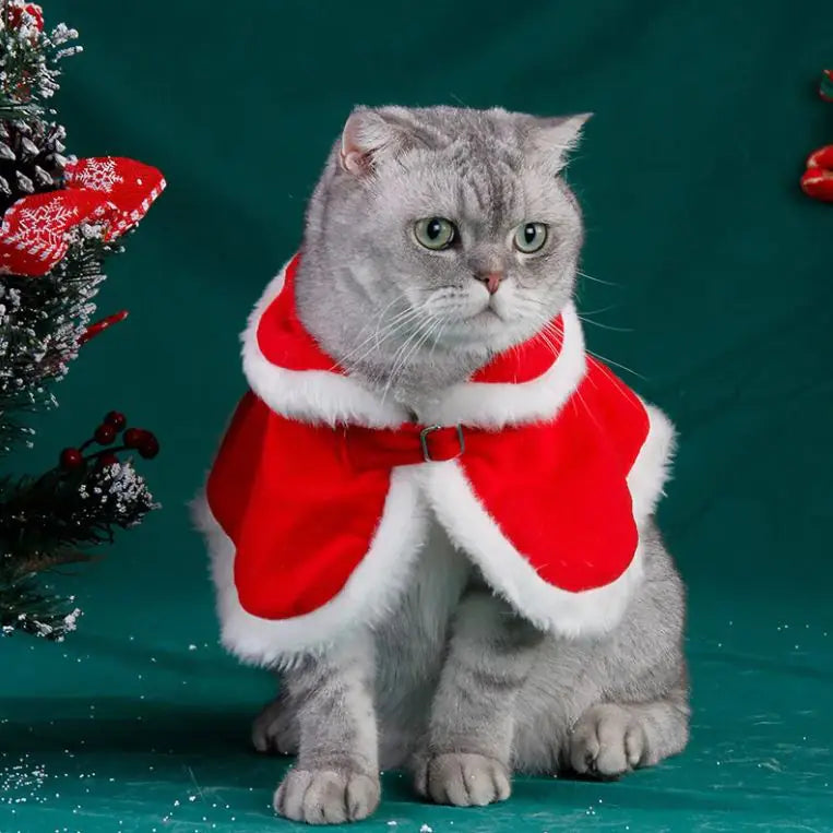 Unleash Your Cat's Festive Charm with the Festive Feline Red Cloak! 🎄🐾