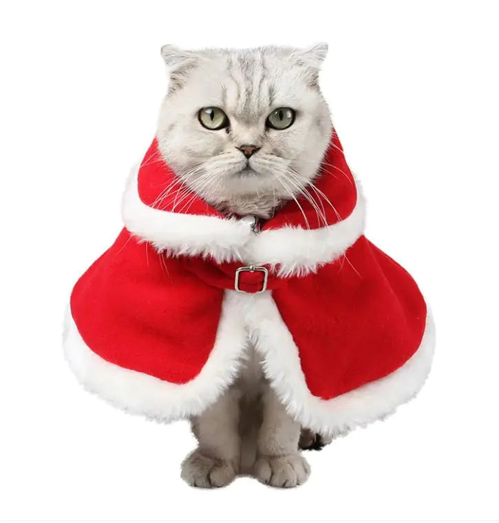 Unleash Your Cat's Festive Charm with the Festive Feline Red Cloak! 🎄🐾